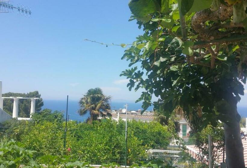 غرفة ديلوكس, Villa Dei Fiori B&b