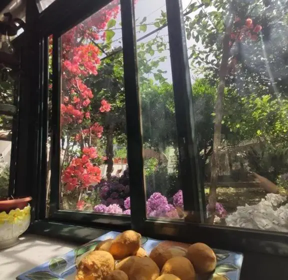 スタンダードシングルルーム, Villa Dei Fiori B&b
