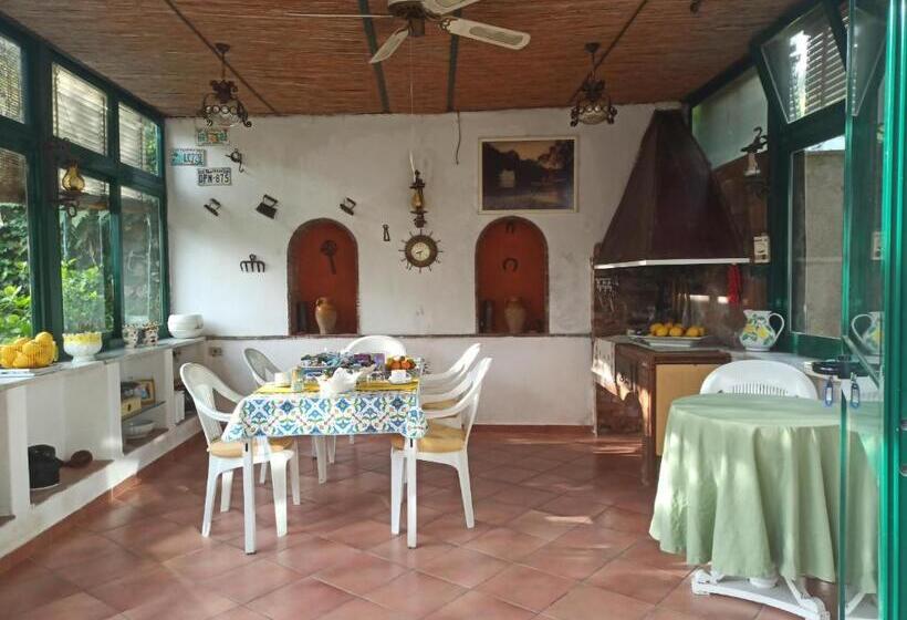 标准单人间, Villa Dei Fiori B&b