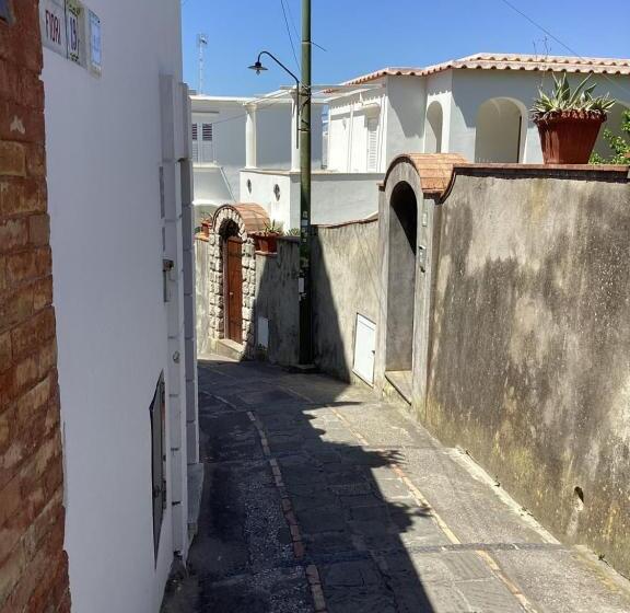 标准单人间, Villa Dei Fiori B&b