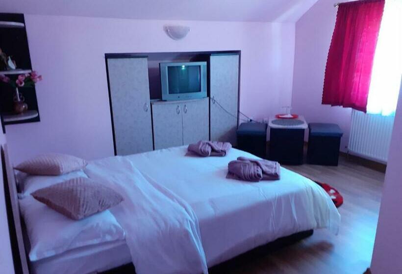 اتاق استاندارد, Pensiunea Rominvest