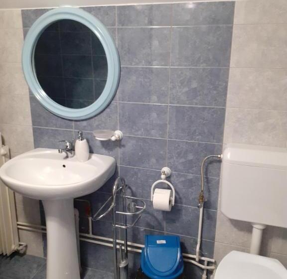 اتاق استاندارد, Pensiunea Rominvest