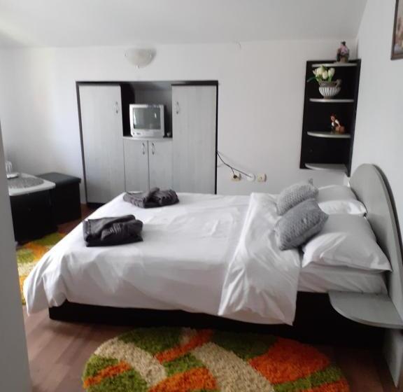 اتاق استاندارد, Pensiunea Rominvest