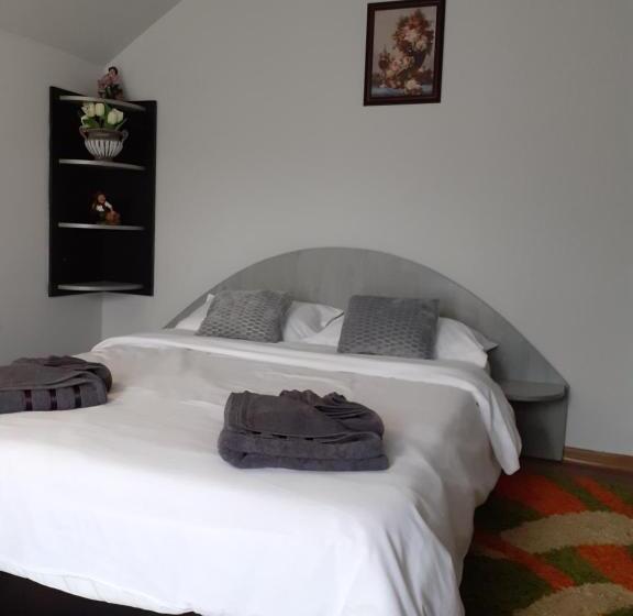 اتاق استاندارد, Pensiunea Rominvest