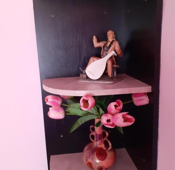 اتاق استاندارد, Pensiunea Rominvest