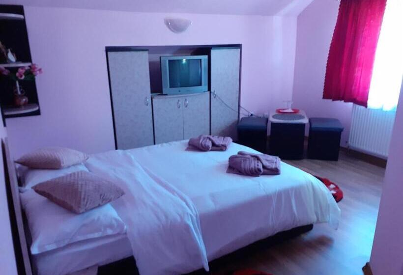 اتاق استاندارد, Pensiunea Rominvest