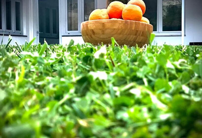 غرفة عائلية, Numero20 B&b