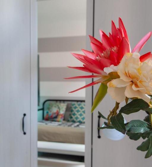 اتاق استاندارد چهار تخته, Ciao Bella Colors