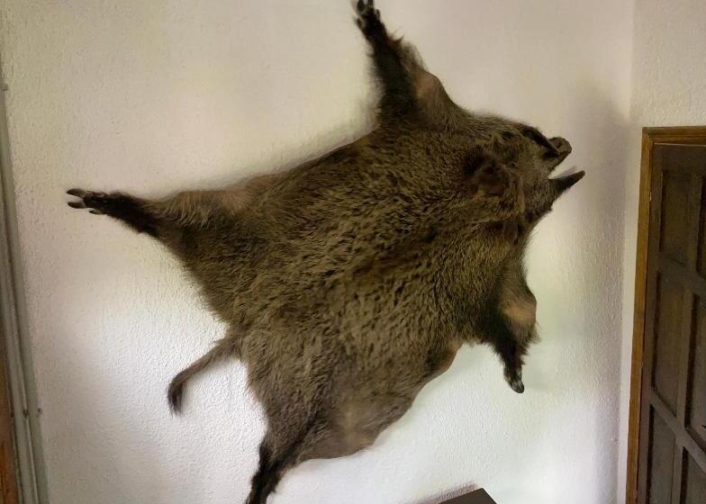 1 Schlafzimmer Apartment, къща дьовлень/house Dyovlen