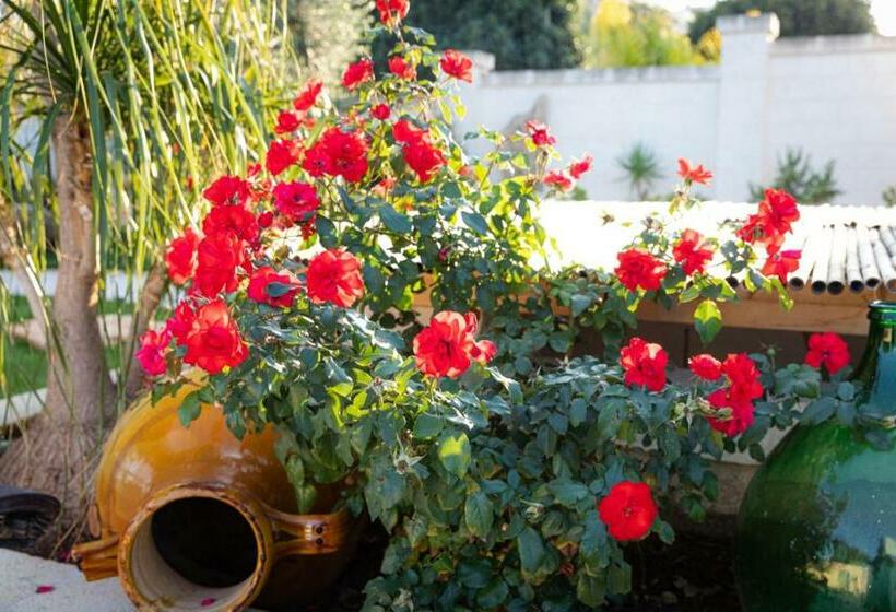 Номер Стандарт Вид на Сад, Villa Luis