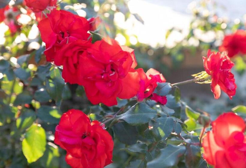 Номер Стандарт с Гидромассажем, Villa Luis