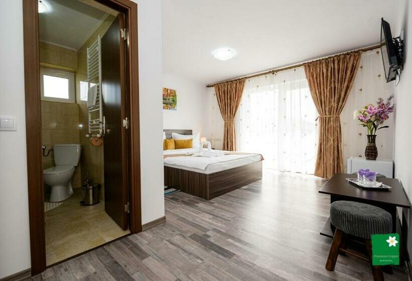 اتاق استاندارد, Pensiunea Grigore