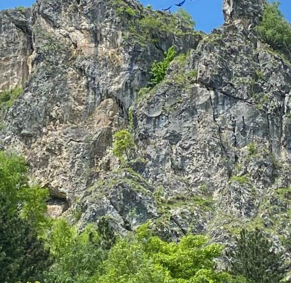 スタンダードルーム, Vila  Melissa Cazare