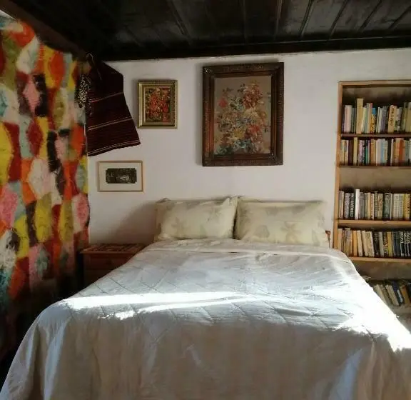 Standard Kolmen Hengen Huone, къщата на художника