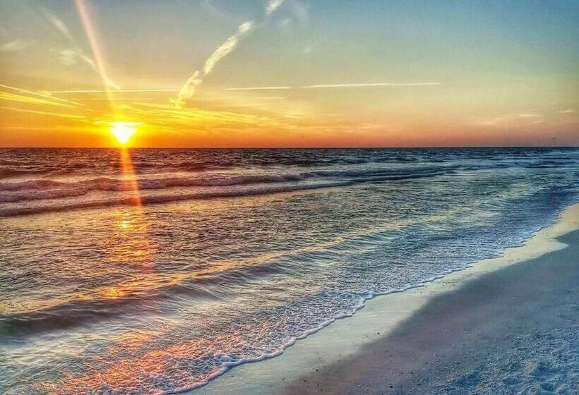 Апартаменты Superior 1 Спальня, Welcome To The Best Beach Anywhere