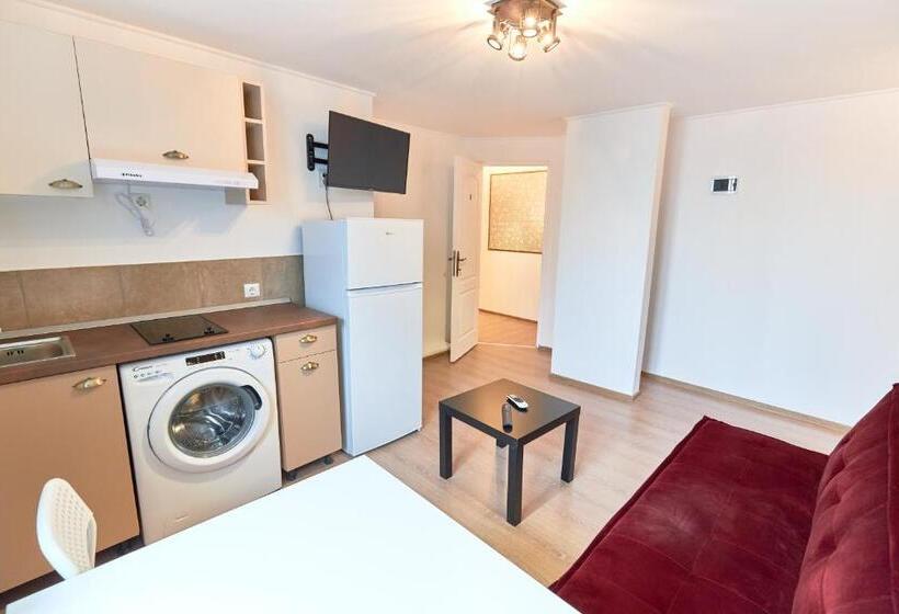 آپارتمان 1 خوابه, Stanford Aparthotel Gara De Nord