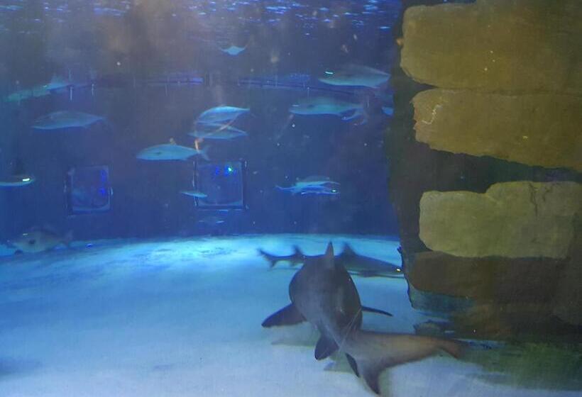 带1个卧室的带阳台的公寓, Granada City Alanya Luxury Appartment 800м от пляжа клеопатра