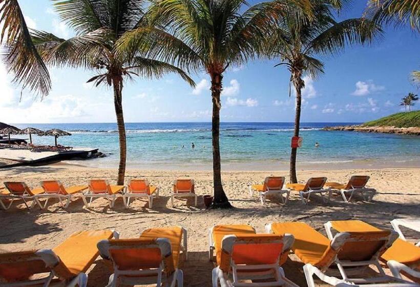 استودیو استاندارد با چشمانداز باغ, Le Studio Les Tropiques Au Village Manganao