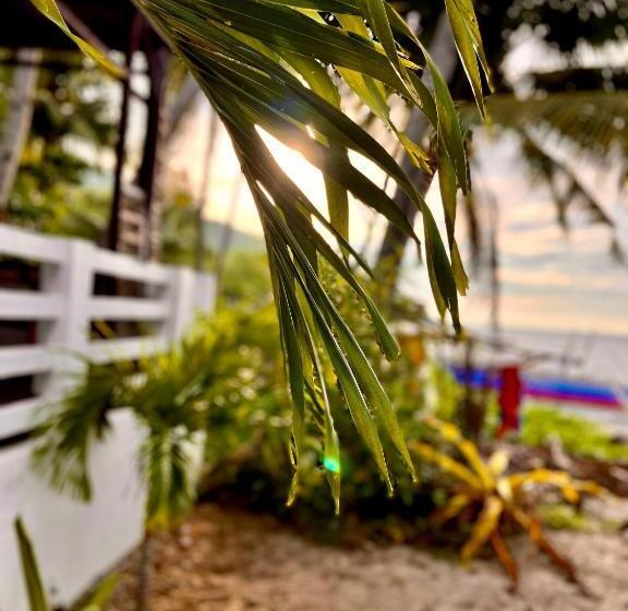 بانگلوی لوکس, Amami Beachfront Villa With Private Beach