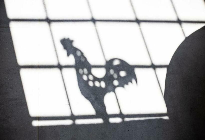 غرفة سوبيريور, Gallo Fino