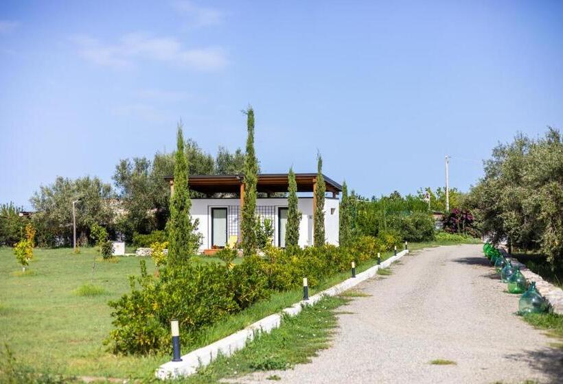 جناح جونيور مطل على الحديقة, Gallo Fino