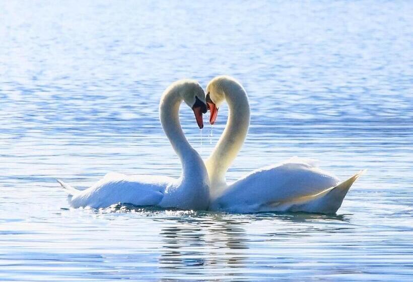 Студия Стандарт, Minamitsuru Gun Hotel / Vacation Stay 45541