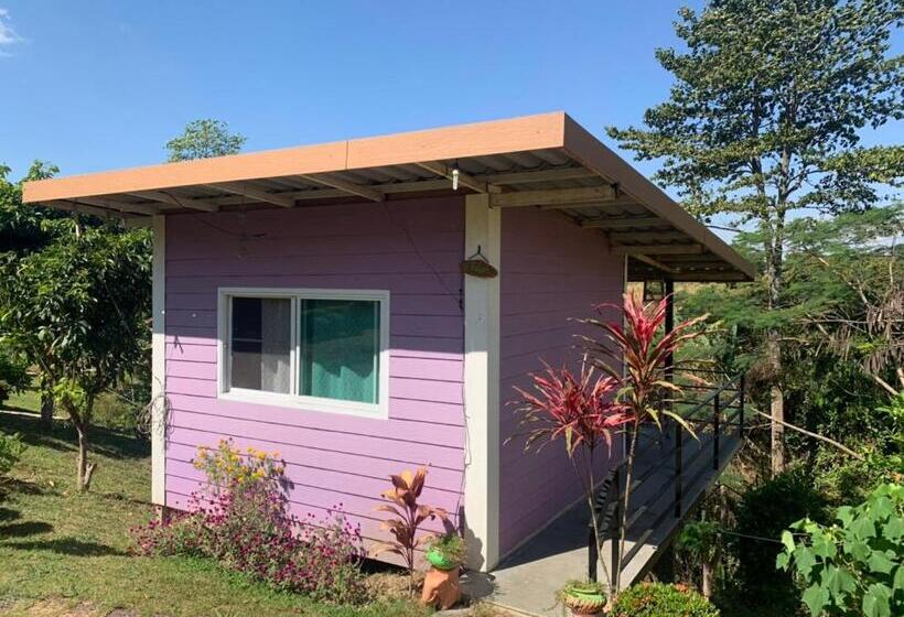 经济房, บ้านวนัชชา รีสอร์ท