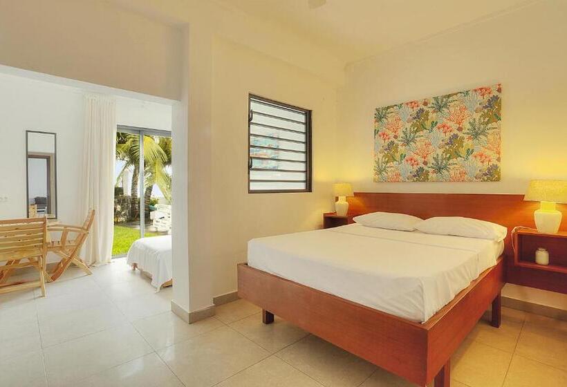 اتاق استاندارد با چشم‌انداز باغ, Auberge Seafever