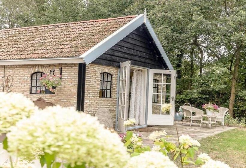 غرفة قياسية, Bed & Breakfast De Appelaar