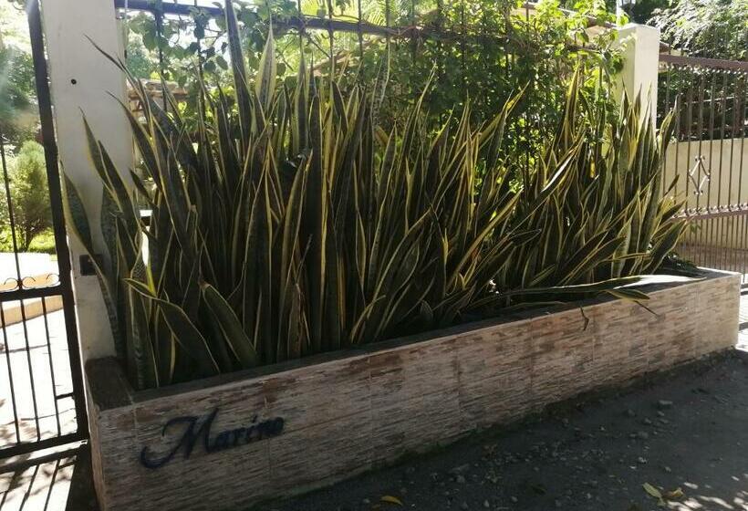 استودیوی استاندارد, Marino Bungalows