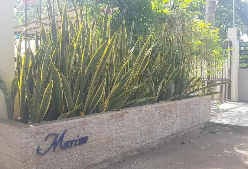 Standard-studio, Marino Bungalows