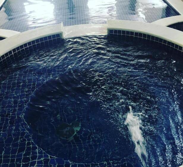 スタンダード４人部屋, Cavalinho Branco   Apartamento 516