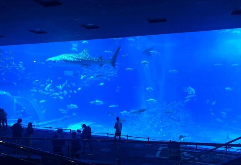 شقة غرفة واحدة, Nel Beach Rosso / Vacation Stay 17520