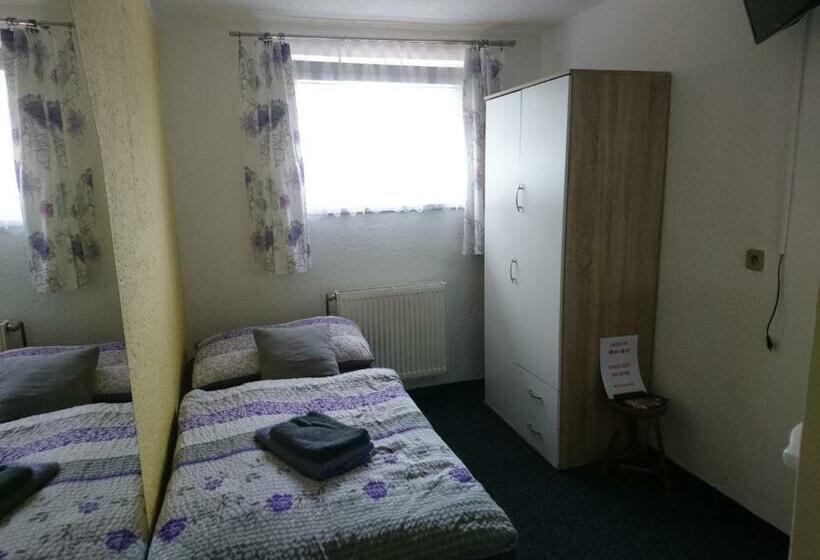 חדר סטנדרט יחיד, Penzion Forest