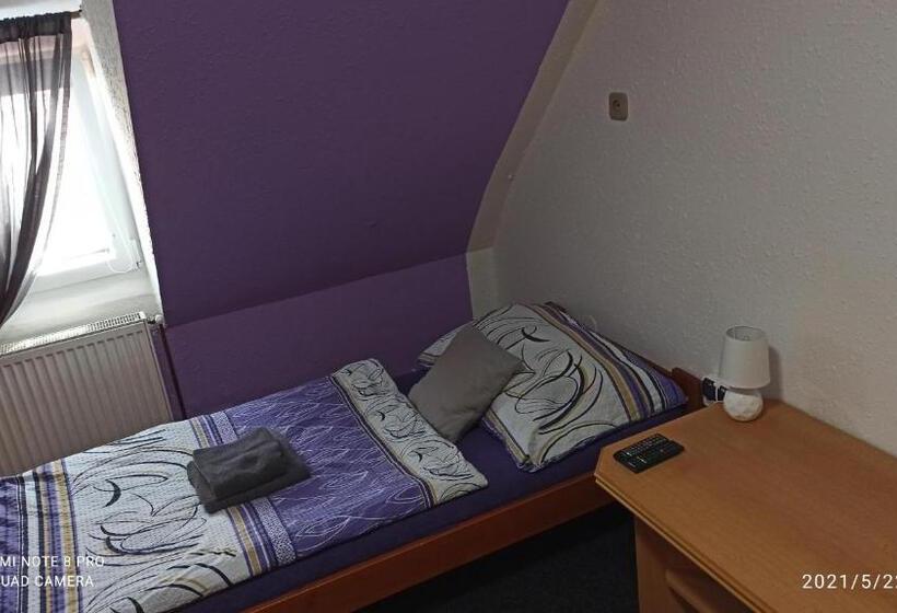 غرفة قياسية فردية, Penzion Forest