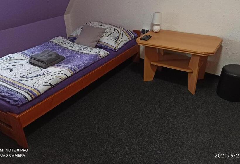 חדר סטנדרט יחיד, Penzion Forest