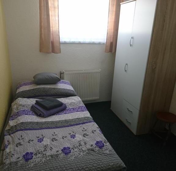 스탠다드 싱글 룸, Penzion Forest