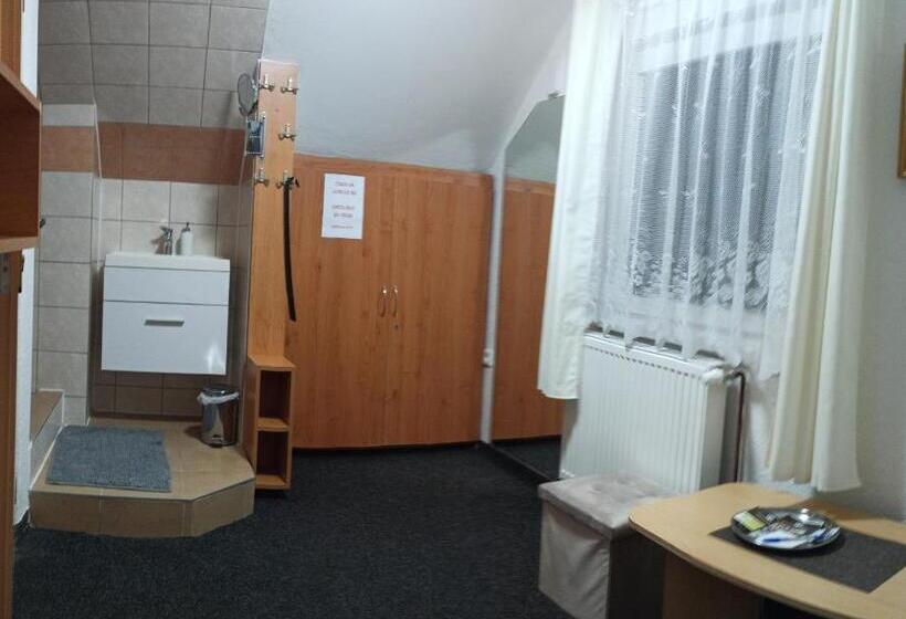 스탠다드 싱글 룸, Penzion Forest