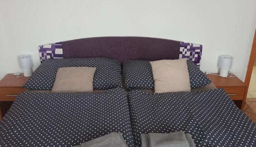 غرفة قياسية, Penzion Forest