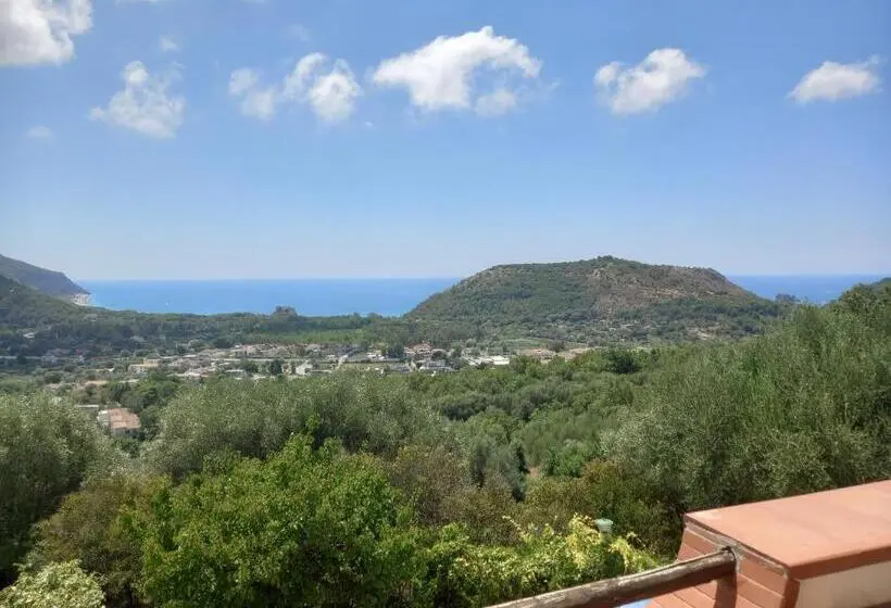 اتاق لوکس, Casa De Rosa