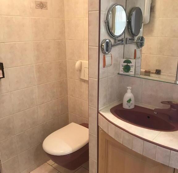 شقة غرفة واحدة مطلة على الحديقة, L Appentis