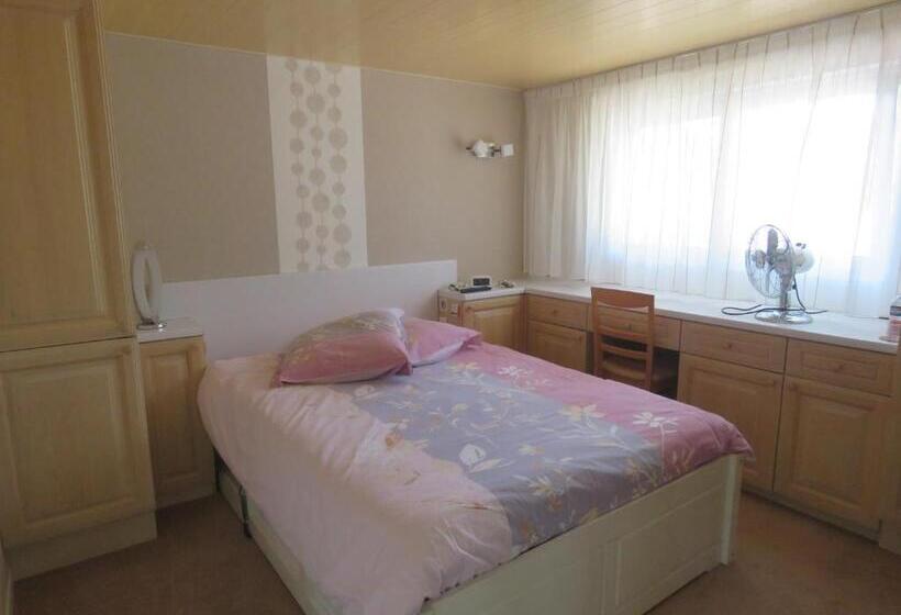 شقة غرفة واحدة مطلة على الحديقة, L Appentis