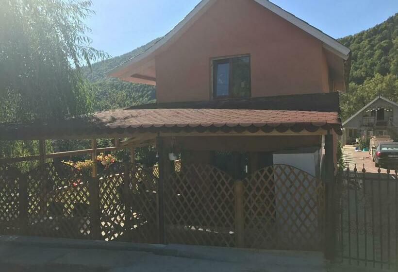 Номер Стандарт, La Rita Acasă