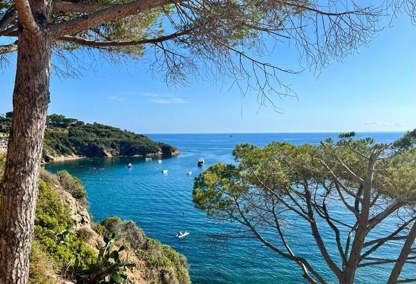 Escritório Estandar Vista Mar, Rosa Dei Venti