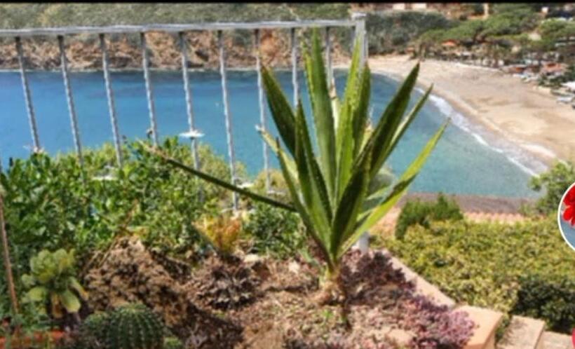 סטודיו סטנדרטי נוף לים, Rosa Dei Venti