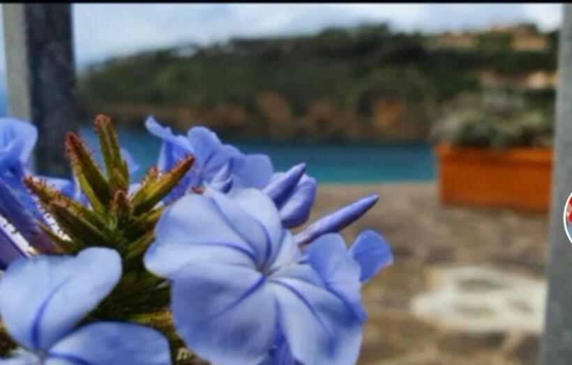 Escritório Estandar Vista Mar, Rosa Dei Venti