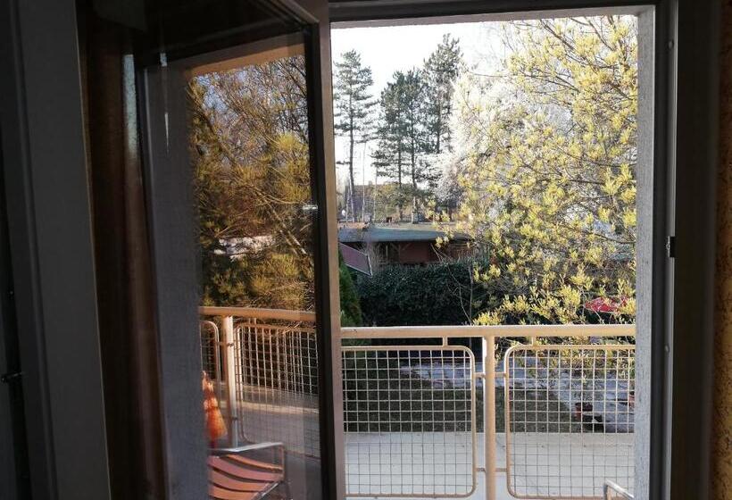 Standard room with outdoor bath, Széplak Apartman