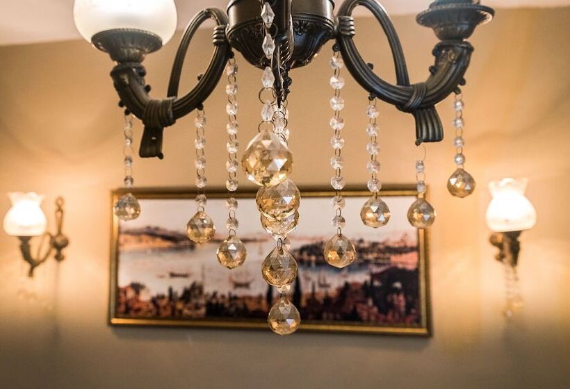 スタンダードルーム, Yeni