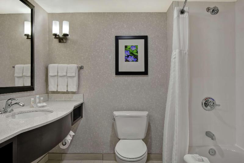 جناح سرير كينج, Hilton Garden Inn Fayettevile