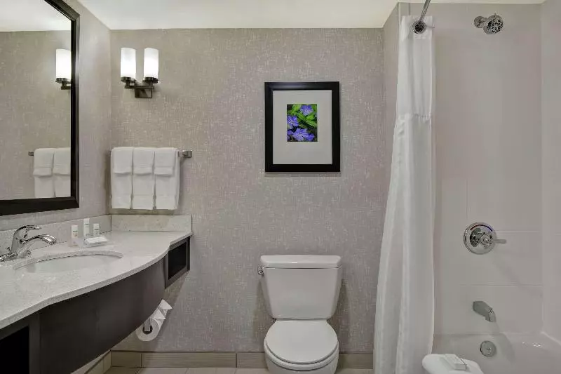 Sviitti King-vuode, Hilton Garden Inn Fayettevile
